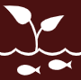 Category Icon